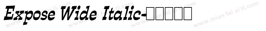 Expose Wide Italic字体转换